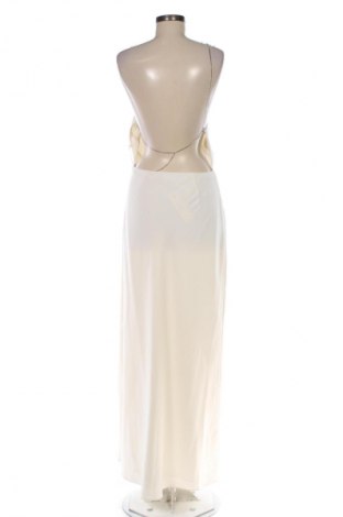 Kleid Calvin Klein, Größe M, Farbe Ecru, Preis 95,00 €