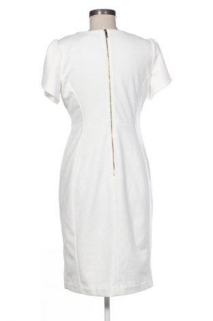 Kleid Calvin Klein, Größe M, Farbe Ecru, Preis 89,68 €