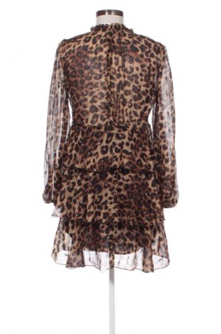 Φόρεμα Elli White, Μέγεθος S, Χρώμα Πολύχρωμο, Τιμή 17,92 €