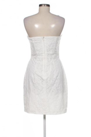 Kleid H&M, Größe M, Farbe Mehrfarbig, Preis 30,99 €