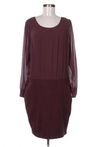 Kleid Jbc, Größe XL, Farbe Lila, Preis 27,99 €