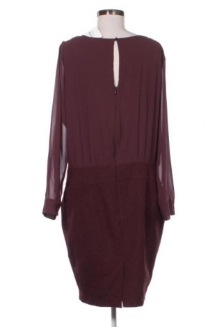 Kleid Jbc, Größe XL, Farbe Lila, Preis 27,99 €