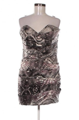 Kleid Lipsy, Größe XL, Farbe Mehrfarbig, Preis 16,80 €