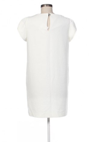 Kleid Mango, Größe M, Farbe Ecru, Preis € 14,99