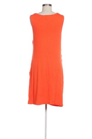 Φόρεμα Ms Mode, Μέγεθος L, Χρώμα Πορτοκαλί, Τιμή 10,99 €