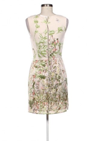 Kleid Oasis, Größe S, Farbe Mehrfarbig, Preis € 19,99