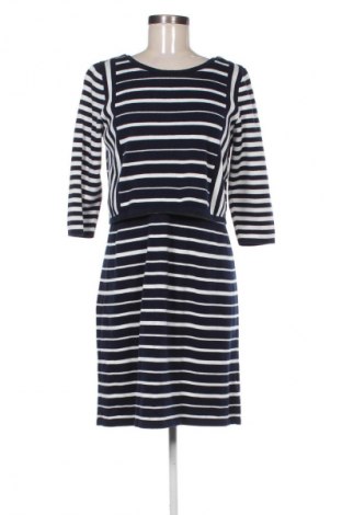 Φόρεμα Per Una Speziale, Μέγεθος L, Χρώμα Πολύχρωμο, Τιμή 17,99 €