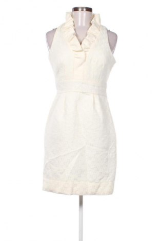 Kleid Taylor, Größe S, Farbe Ecru, Preis € 37,99