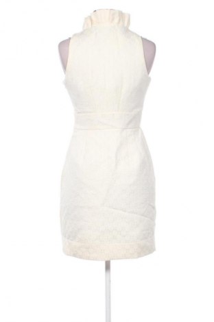 Kleid Taylor, Größe S, Farbe Ecru, Preis € 37,99