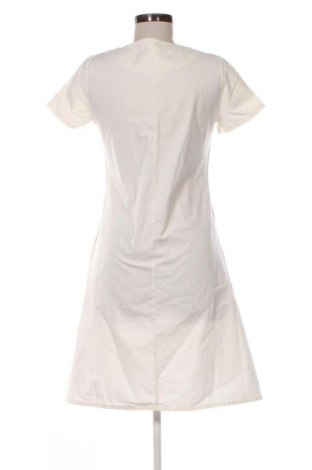 Рокля Unbranded, Размер M, Цвят Многоцветен, Цена 19,95 €