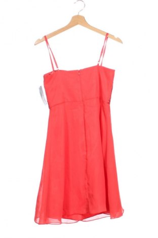 Kleid Vera Mont, Größe XS, Farbe Rot, Preis 117,99 €