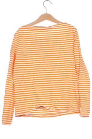 Γυναικεία μπλούζα Mango, Μέγεθος XS, Χρώμα Πορτοκαλί, Τιμή 1,99 €