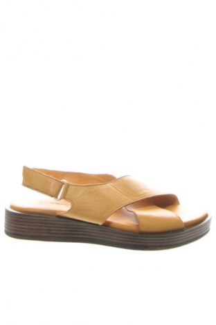 Japonki Caprese, Rozmiar 37, Kolor Żółty, Cena 261,99 zł