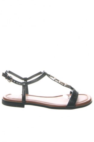 Japonki Dune, Rozmiar 38, Kolor Czarny, Cena 429,99 zł