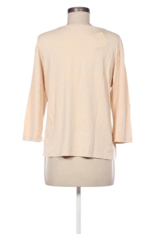 Γυναικεία μπλούζα Barisal, Μέγεθος XL, Χρώμα  Μπέζ, Τιμή 10,00 €