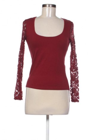 Γυναικεία μπλούζα Calliope, Μέγεθος S, Χρώμα Κόκκινο, Τιμή 10,99 €