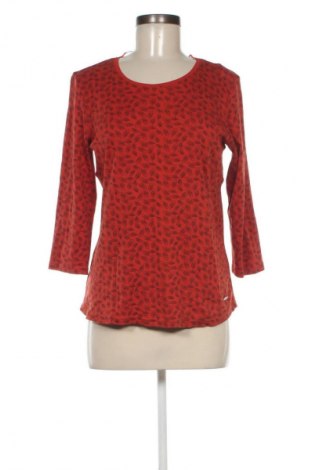 Γυναικεία μπλούζα Cappuccini, Μέγεθος M, Χρώμα Πολύχρωμο, Τιμή 10,99 €