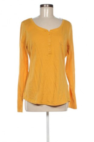 Damen Shirt Colin's, Größe XL, Farbe Orange, Preis € 12,99