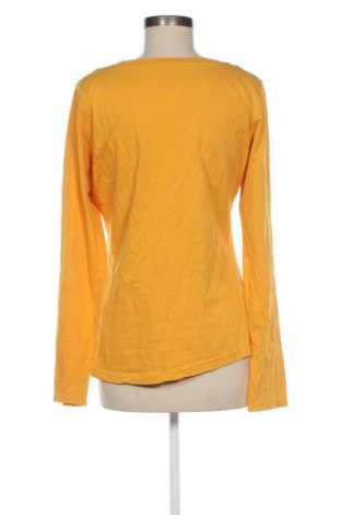 Damen Shirt Colin's, Größe XL, Farbe Orange, Preis € 12,99