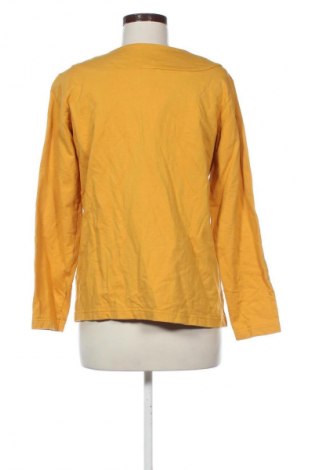 Dámská halenka Collection L, Velikost L, Barva Oranžová, Cena  269,00 Kč