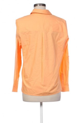 Γυναικεία μπλούζα Collection L, Μέγεθος L, Χρώμα Πορτοκαλί, Τιμή 10,00 €