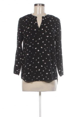 Γυναικεία μπλούζα Daniel Rainn, Μέγεθος S, Χρώμα Μαύρο, Τιμή 28,99 €