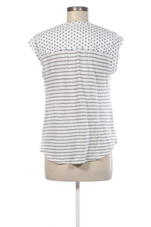 Dámská halenka Daniel Rainn, Velikost M, Barva Vícebarevné, Cena  739,00 Kč