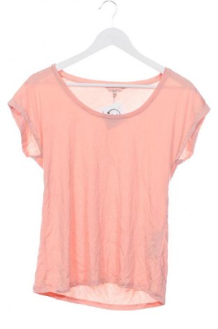 Damen Shirt Esqualo, Größe XS, Farbe Rosa, Preis € 18,99