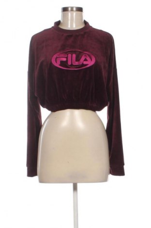 Damen Shirt FILA, Größe S, Farbe Braun, Preis € 14,99