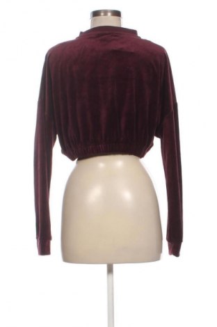 Damen Shirt FILA, Größe S, Farbe Braun, Preis € 14,99