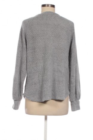 Γυναικεία μπλούζα Hollister, Μέγεθος L, Χρώμα Γκρί, Τιμή 7,99 €