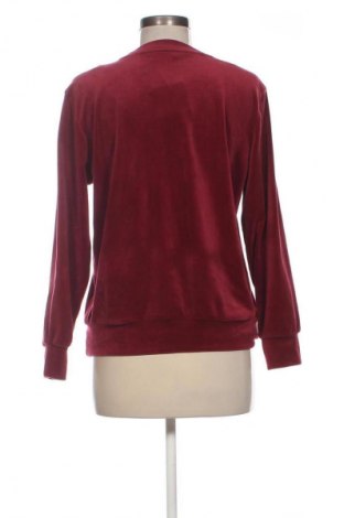 Γυναικεία μπλούζα Hunkemoller, Μέγεθος XS, Χρώμα Κόκκινο, Τιμή 6,99 €