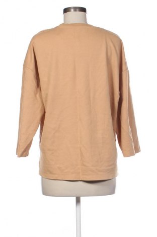 Γυναικεία μπλούζα Mango, Μέγεθος L, Χρώμα Καφέ, Τιμή 20,00 €