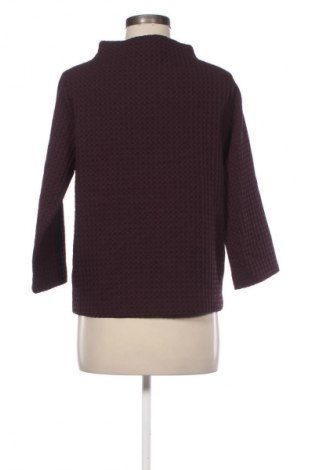 Γυναικεία μπλούζα Opus, Μέγεθος M, Χρώμα Βιολετί, Τιμή 6,99 €