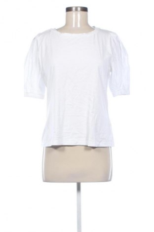 Γυναικεία μπλούζα Rinascimento, Μέγεθος L, Χρώμα Πολύχρωμο, Τιμή 20,99 €