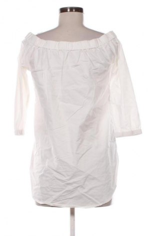 Γυναικεία μπλούζα Steffen Schraut, Μέγεθος S, Χρώμα Εκρού, Τιμή 17,99 €