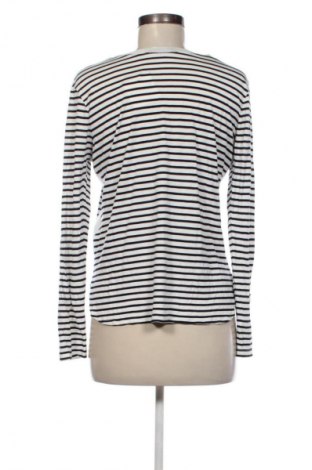 Γυναικεία μπλούζα Zara, Μέγεθος L, Χρώμα Πολύχρωμο, Τιμή 14,00 €