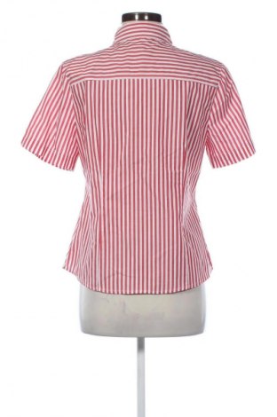 Damska koszula Adagio, Rozmiar M, Kolor Kolorowy, Cena 108,99 zł