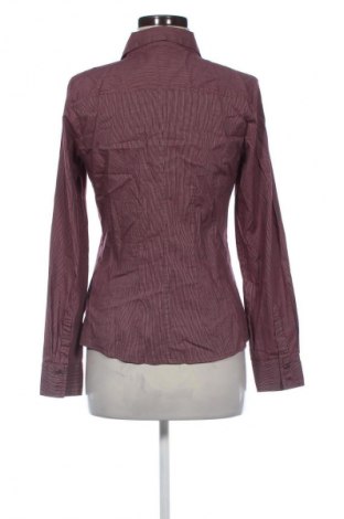 Γυναικείο πουκάμισο Amisu, Μέγεθος L, Χρώμα Πολύχρωμο, Τιμή 12,85 €