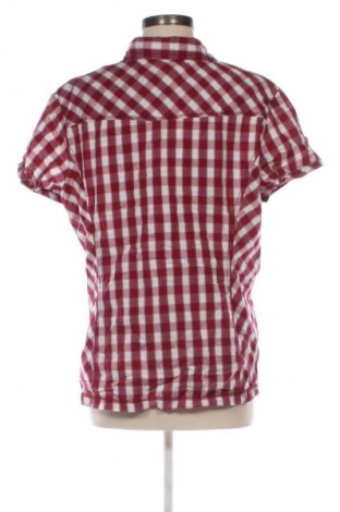 Dámská košile  Cecil, Velikost XL, Barva Vícebarevné, Cena  519,00 Kč