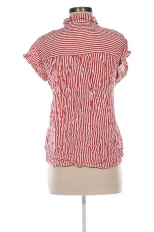 Damenbluse Laura Torelli, Größe L, Farbe Mehrfarbig, Preis € 4,99