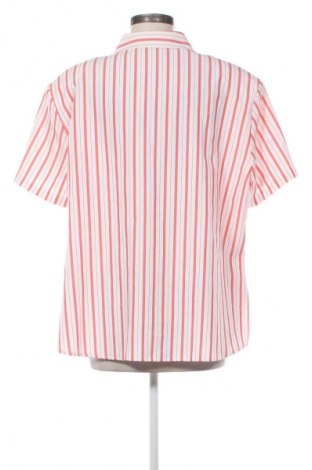 Γυναικείο πουκάμισο Malva, Μέγεθος XXL, Χρώμα Πολύχρωμο, Τιμή 5,99 €