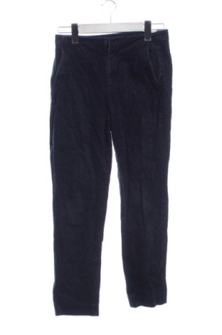 Damskie sztruksy Massimo Dutti, Rozmiar S, Kolor Niebieski, Cena 104,99 zł, #135524031
