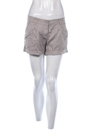 Γυναικείο κοντό παντελόνι Clockhouse, Μέγεθος XL, Χρώμα Γκρί, Τιμή 5,99 €