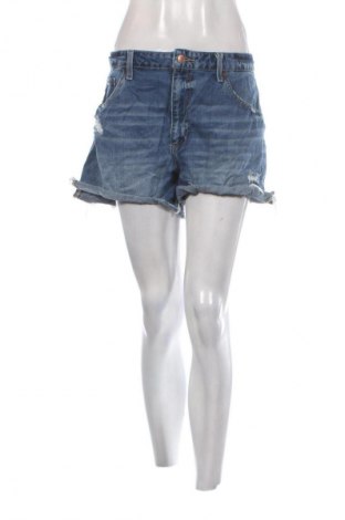 Γυναικείο κοντό παντελόνι No Boundaries, Μέγεθος XL, Χρώμα Μπλέ, Τιμή 6,99 €