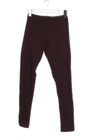 Dámské legíny  Me & Me, Velikost L, Barva Hnědá, Cena  99,00 Kč