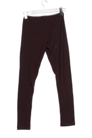 Dámské legíny  Me & Me, Velikost L, Barva Hnědá, Cena  99,00 Kč