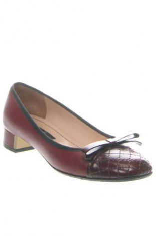 Γυναικεία παπούτσια Cristhelen B., Μέγεθος 37, Χρώμα Πολύχρωμο, Τιμή 82,85 €