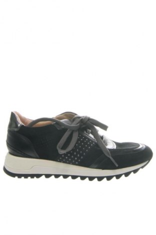Obuwie damskie Geox, Rozmiar 38, Kolor Czarny, Cena 374,99 zł