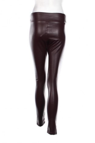 Damenhose Calzedonia, Größe L, Farbe Rot, Preis € 11,99